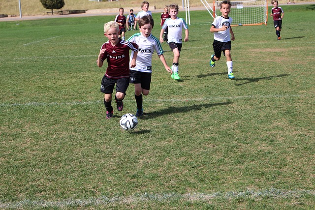 转型为教练 转型为教练