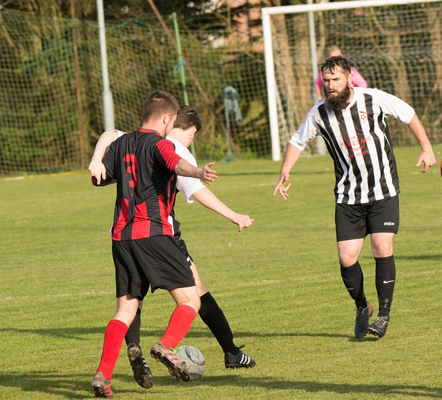 積分榜對球 積分榜對球