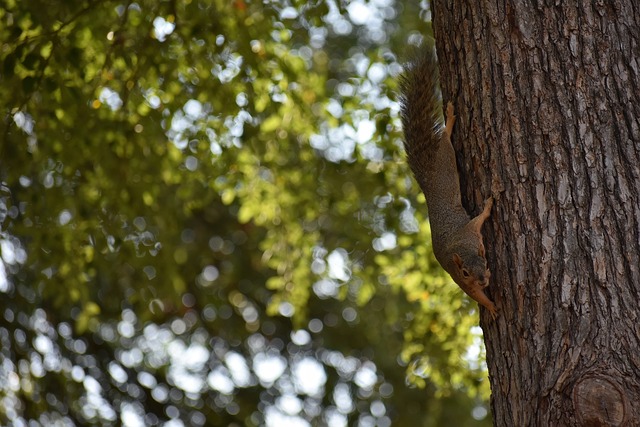 【北单】竞彩足球推荐网：周六114英足总杯 利兹联VS哈洛贾特.