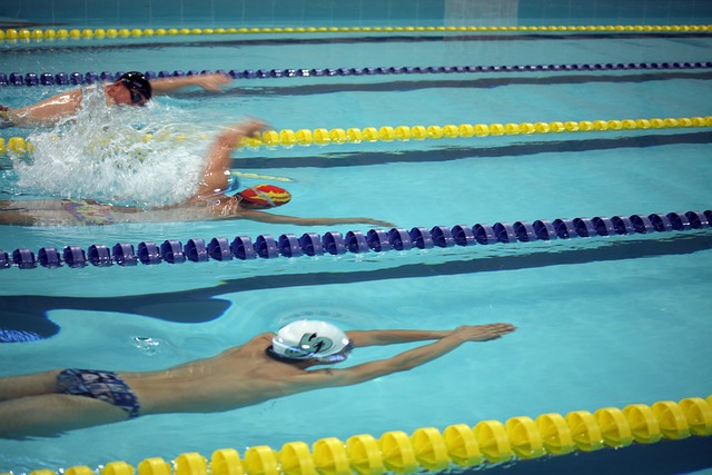 竞技精神的 竞技精神的