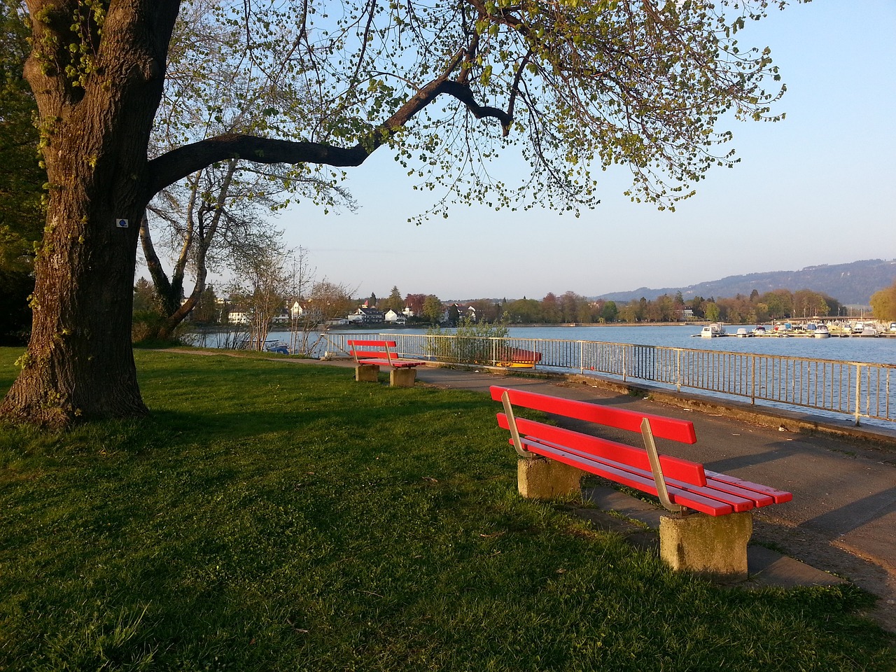 的还有乒乓 的还有乒乓