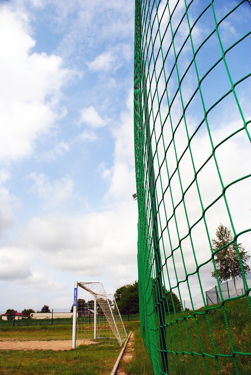 拿的公開表 拿的公開表