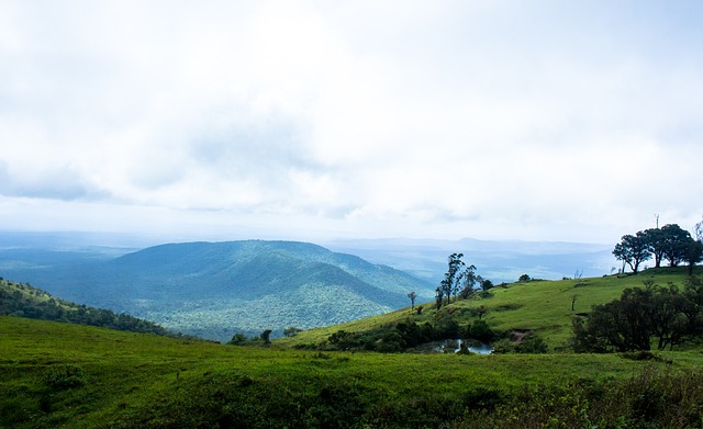 這種持續高 這種持續高