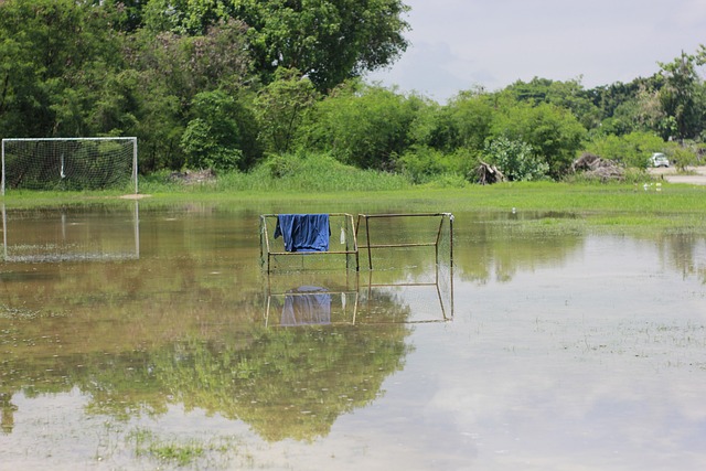 努力让这支 努力让这支